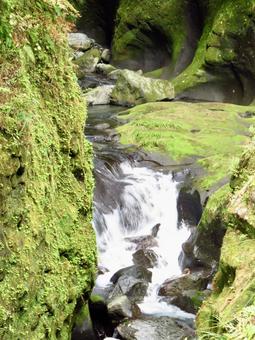 苔むした岩 苔むした岩 苔,川,水流の写真素材