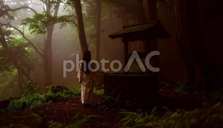 恐ろしい井戸 井戸,山,森の写真素材