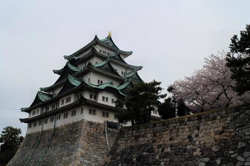 Nagoya Castle 2016, JPG