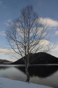 Landscapes and More #124 Landscapes and More #124の写真