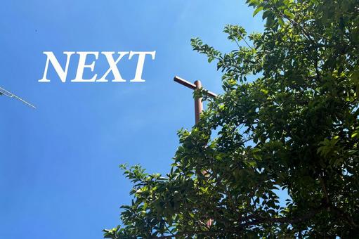 NEXT 次 空 木 NEXT 次 空 木 next,次,木の写真素材