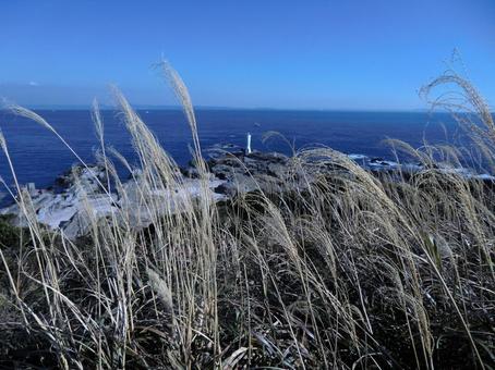 海 海 晴れ,晴れる,海の写真素材