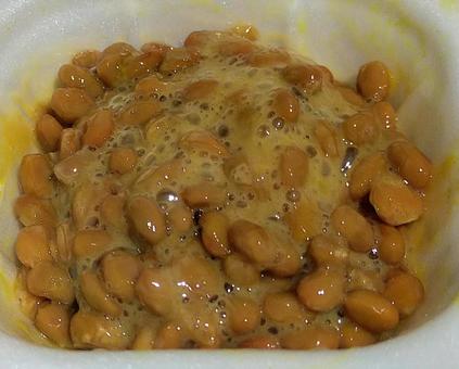 Photo, natto, mix, yarn, 