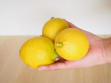 手のひらにのったレモン レモン,檸檬,果物の写真素材