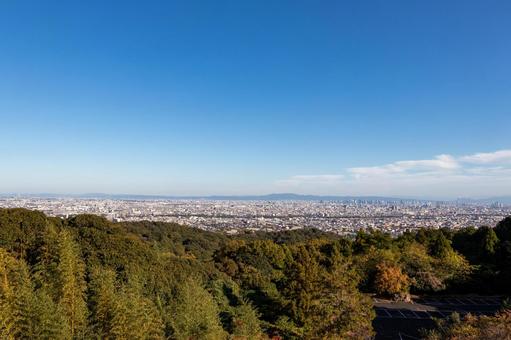 西宮・甲山からの眺望 甲山,眺め,街並みの写真素材