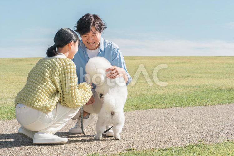 犬の散歩・ペットと遊ぶ家族・ファミリー 家族,犬,親子の写真素材
