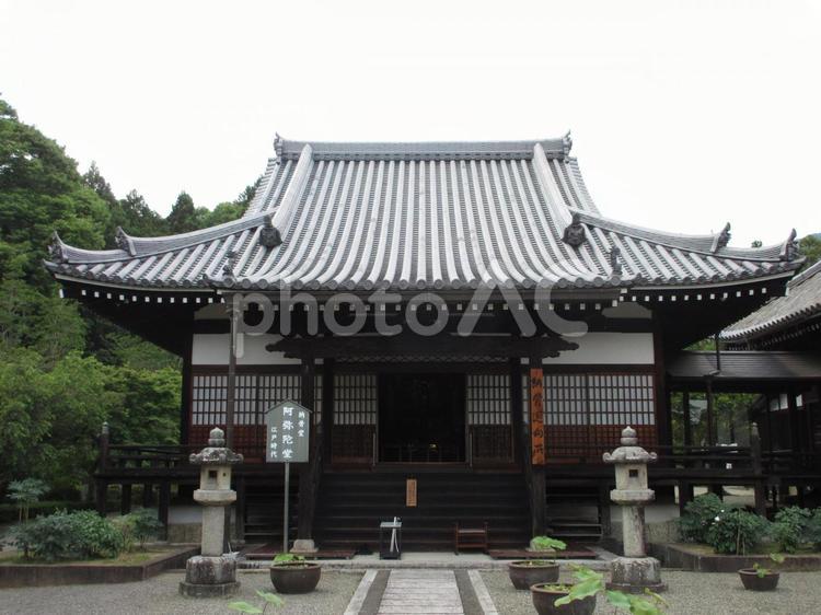奈良県-當麻寺-奥院-阿弥陀堂 當麻寺,寺,二上山の写真素材