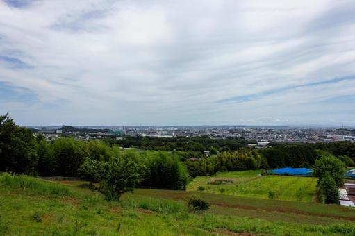 伊勢原市 全景 伊勢原市 全景の写真