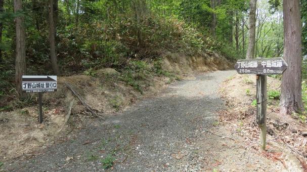 丁野山城 隣接する中島城との連結部 丁野山城 隣接する中島城との連結部の写真