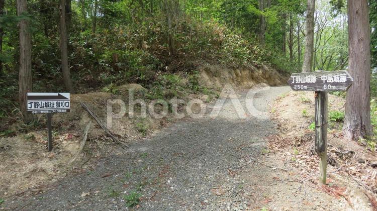 丁野山城　隣接する中島城との連結部 丁野山城,小谷城の支城,浅井長政の写真素材
