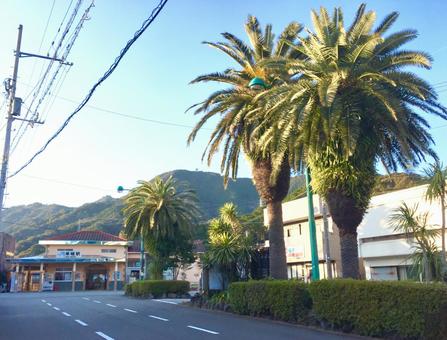牟岐線の牟岐駅の駅舎 鉄道風景,鉄道,四国の写真素材