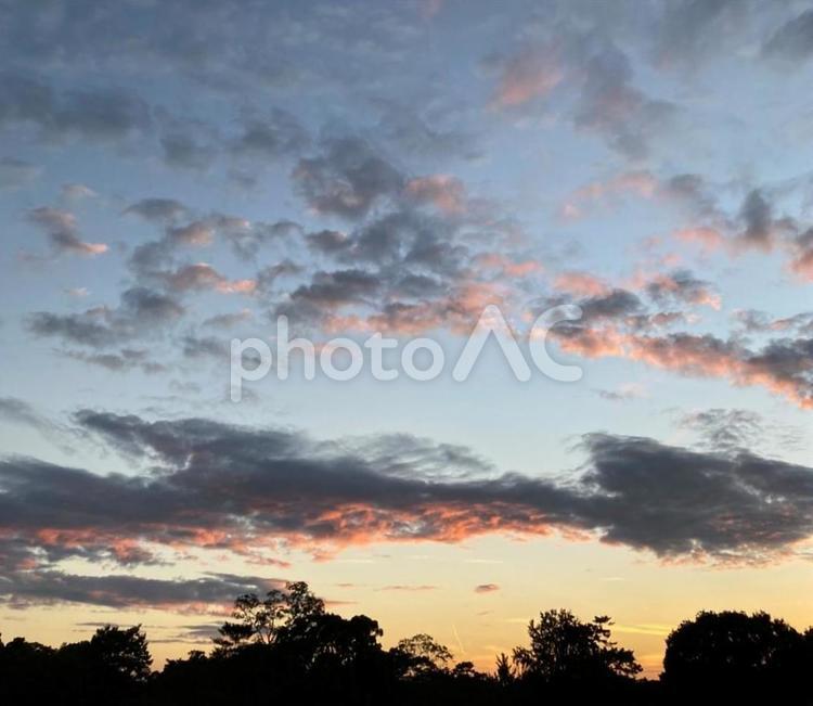 奈良公園・秋の夕暮れ。。。 奈良公園,夕暮れ,夕焼けの写真素材