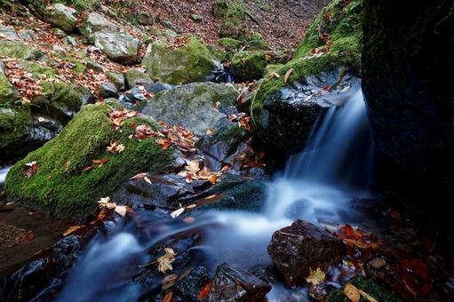 紅葉の渓流 紅葉の渓流 秋,自然,川の写真素材