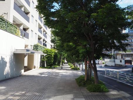 鶯谷町の街並み(東京都・渋谷区) 鶯谷町の街並み(東京都・渋谷区) 鶯谷町,渋谷,街並みの写真素材