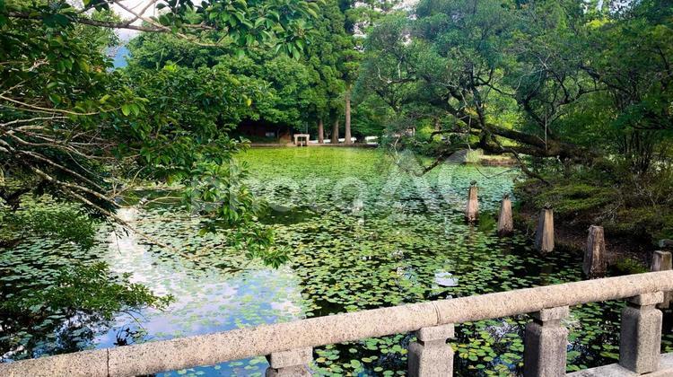 八女市星野村の星のふるさと公園 星のふるさと公園,八女市,星野村の写真素材