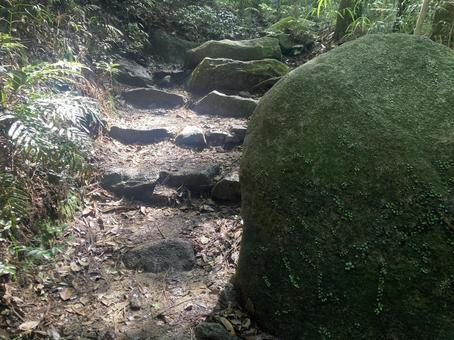 宝満山 宝満山の写真