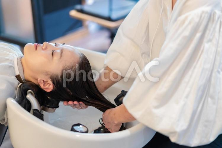 お客様にシャンプーをする美容師 日本人,乾燥,美容院の写真素材