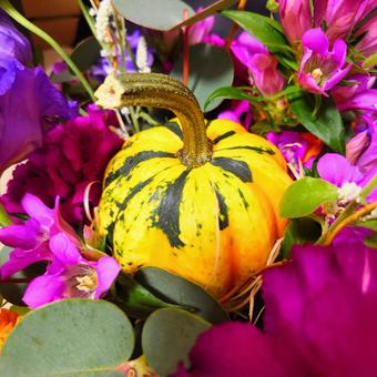 ハロウィンアレンジ ハロウィン,アレンジメント,かぼちゃの写真素材