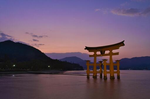 宮島：厳島神社・大鳥居・夕焼け 宮島,厳島神社,日本三景の写真素材