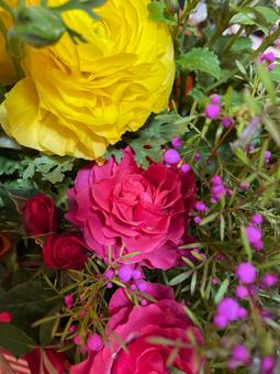 花 花の写真
