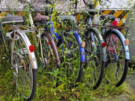 放置自転車 放置自転車 駐輪場,違法駐輪,駐輪の写真素材