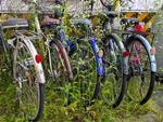 放置自転車 駐輪場,違法駐輪,駐輪の写真素材
