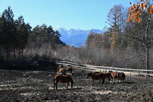 木曽馬牧場と御嶽山 牧場,木曽馬,御嶽山の写真素材