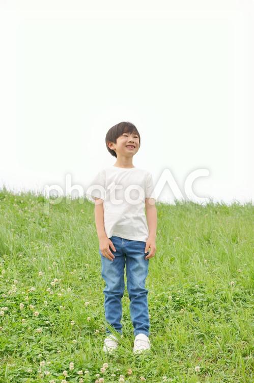 大草原で遠くを見ている男の子 男の子,男児,立つの写真素材