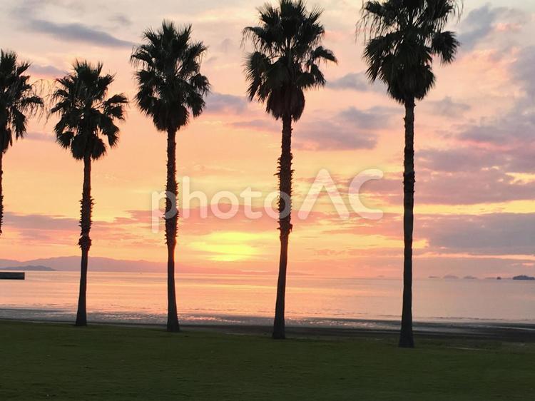 香川県観音寺市一宮公演の夕日 夕日,海,ヤシの木の写真素材