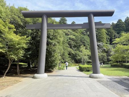 鹿島神宮　御手洗池口鳥居 鹿島神宮,神社,茨城県の写真素材