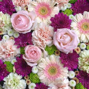 色鮮やかな花手水46 花手水,はなちょうず,手水舎の写真素材