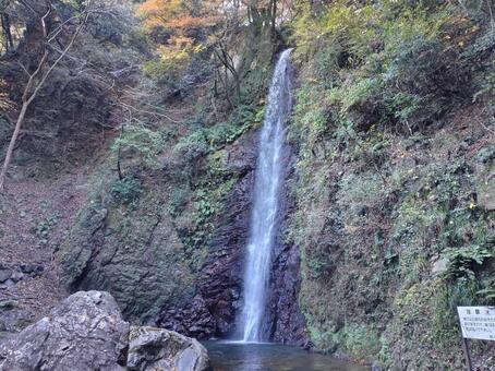岐阜県-養老の滝 養老の滝,滝,日本の滝百選の写真素材