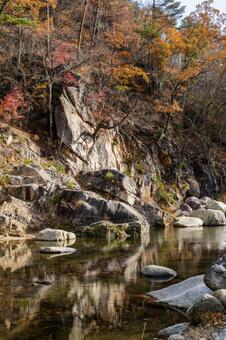 晩秋の不動尊公園キャンプ場⑶ 晩秋,紅葉,川の写真素材