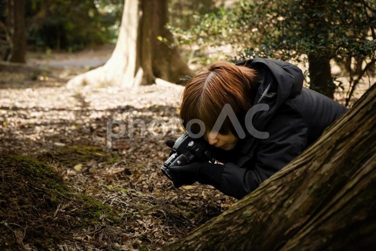 R＜人物＞森の中で撮影をする女性写真家 女性,紅葉,写真の写真素材