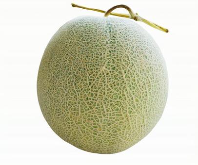 メロン メロン,お中元,ネットメロンの写真素材