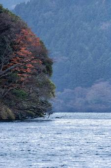 秋の芦ノ湖 秋の芦ノ湖 芦ノ湖,湖,紅葉の写真素材