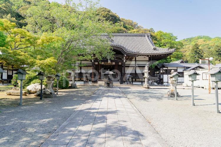 和歌山　根来寺　光明真言殿 根来寺,根來寺,寺の写真素材