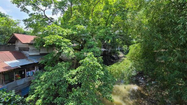 街中の自然　インドネシア 川,木,自然の写真素材