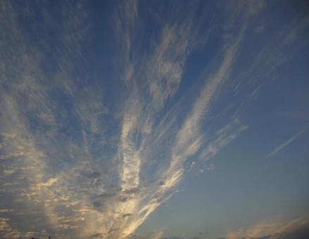 伸びる雲 伸びる雲の写真