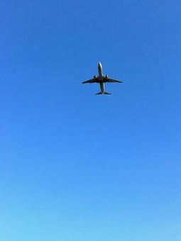 飛行機 飛行機,フライト,空の写真素材