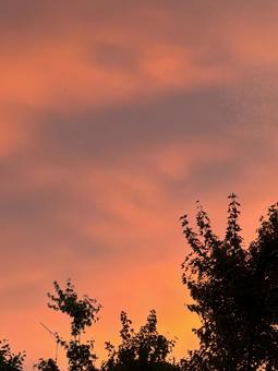 夕焼けに落ちる影 夕焼けに落ちる影の写真