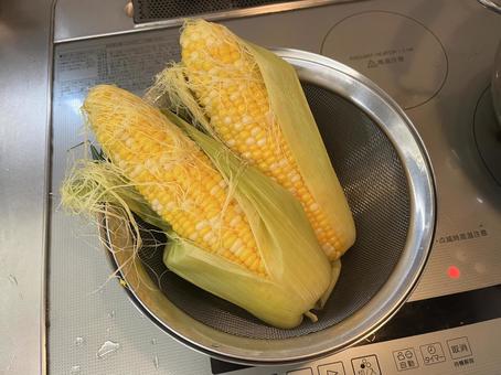 とうもろこし とうもろこし とうもろこし,コーン,茹でるの写真素材