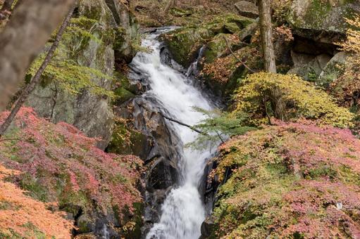 秋の滝川渓谷 秋,紅葉,渓流の写真素材