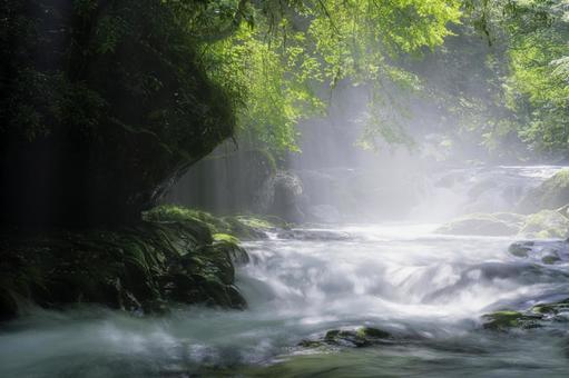 熊本-【菊池渓谷の光芒】 熊本-【菊池渓谷の光芒】 熊本,菊池渓谷,川の写真素材