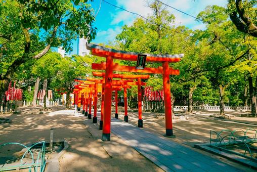 【兵庫】湊川神社 兵庫,神戸,湊川神社の写真素材