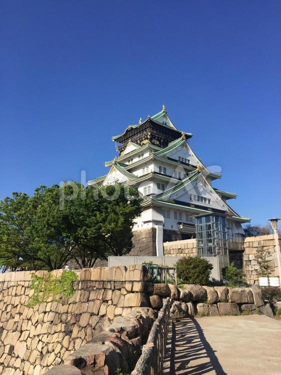 大阪城天守閣 大阪城,大阪城公園,大阪の写真素材
