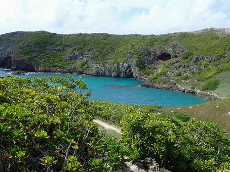 小笠原の南島の景色 小笠原の南島の景色 小笠原,南島,小笠原南島の写真素材