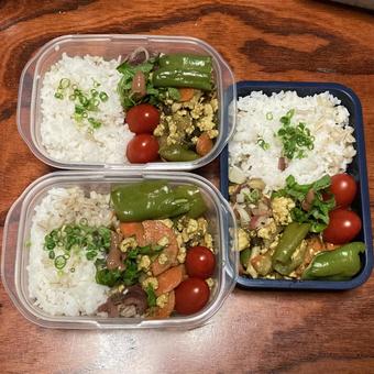 Plum and shiso keema curry, prepared for 3 days, JPG Plum and shiso keema curry, prepared for 3 days, JPG