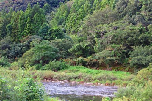 島根県-高津川 島根県-高津川の写真