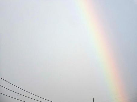 虹 虹の写真